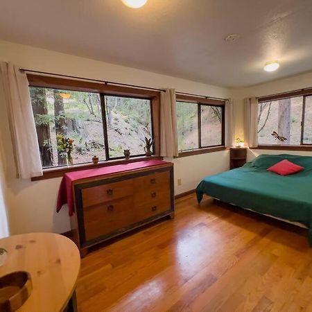Little House In The Redwoods With A Hot Tub! Apartment Garberville Exterior photo