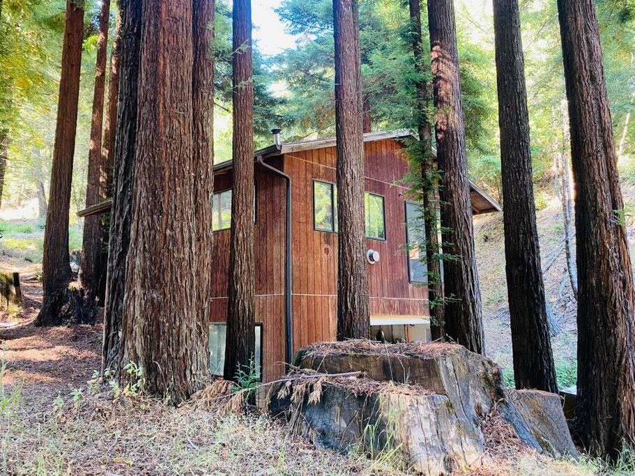 Little House In The Redwoods With A Hot Tub! Apartment Garberville Exterior photo
