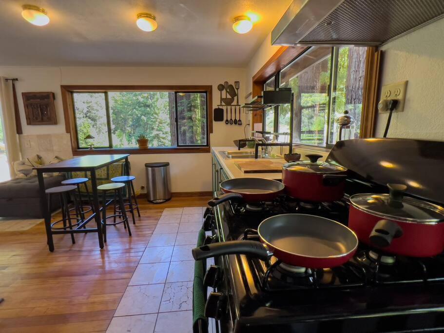 Little House In The Redwoods With A Hot Tub! Apartment Garberville Exterior photo